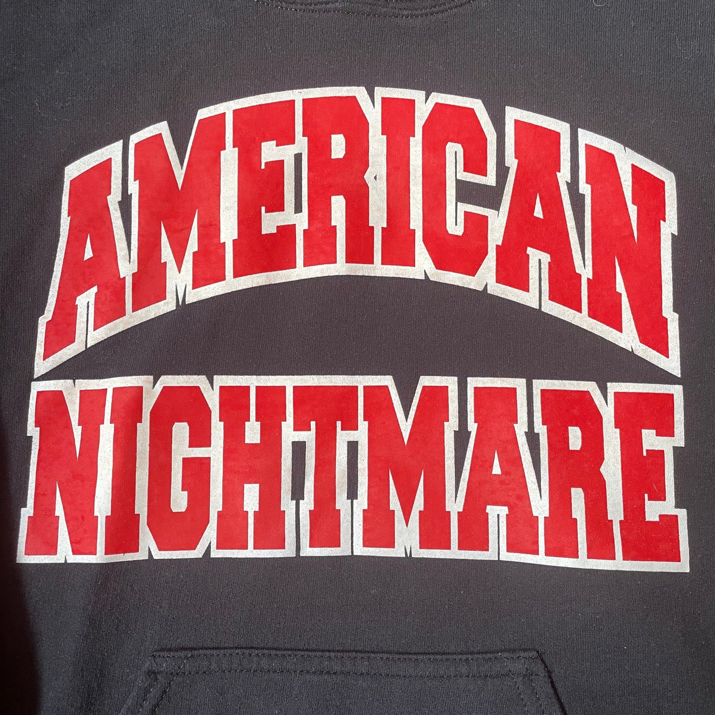 AMERICAN NIGHTMARE • Logo • S • Hooded Sweater