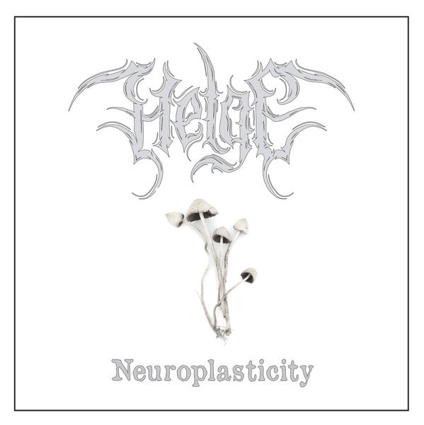 HELGE • Neuroplasticitate • LP