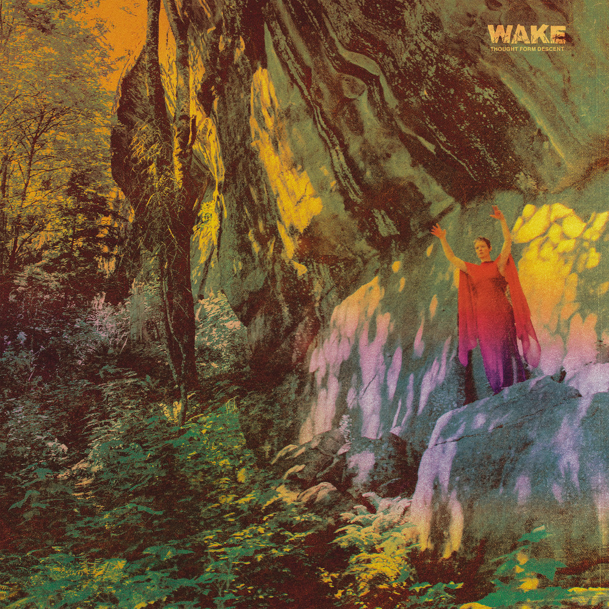 WAKE • Thought Form Descent (180g Black Vinyl) • LP